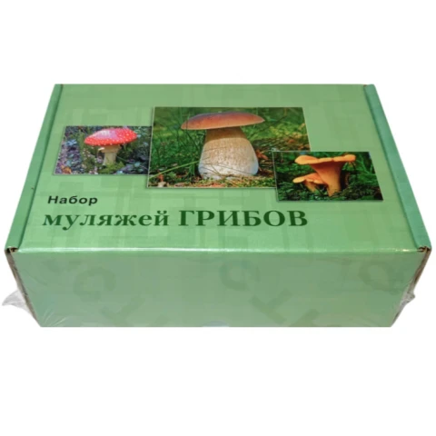 Муляжи съедобных и ядовитых грибов