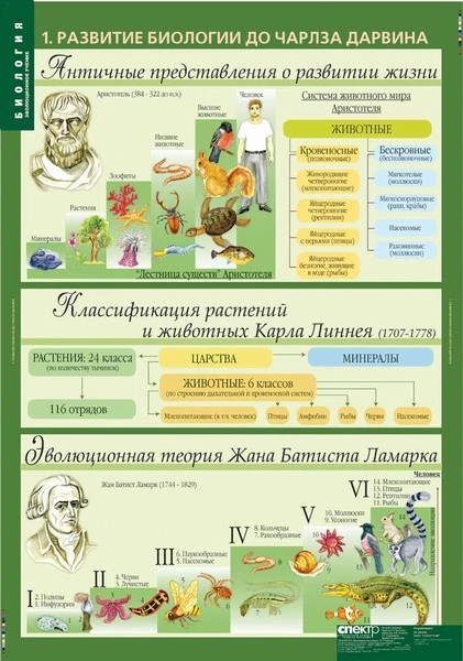 Комплект демонстрационных учебных таблиц (кабинет биологии)