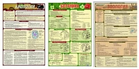 Комплект раздаточных таблиц по биологии